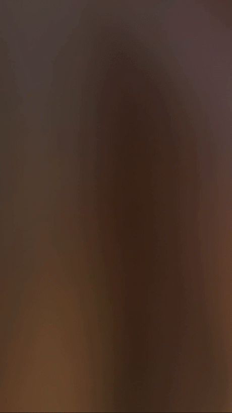 Puffer Dog Jacket - V.I.P Digital Presence