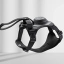 PullGuard Leashmate ( M- Big dogs) - V.I.P Digital Presence