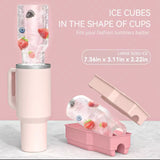 Silicone Ice Molds - V.I.P Digital Presence