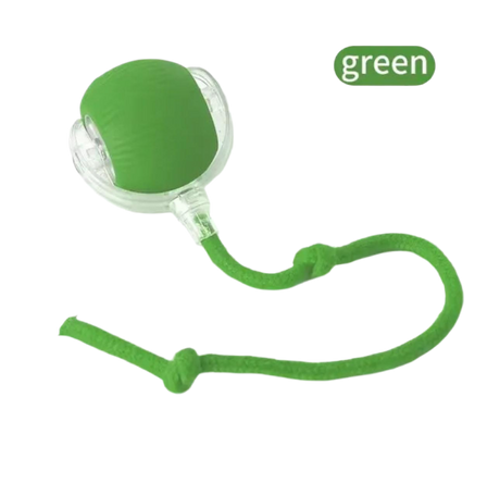 Smart Chase Ball - V.I.P Digital Presence