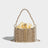 Sparkling Water Diamond Rope Vegetable Basket Bird Cage Banquet Water Bucket Hand Carrying Crossbody Bag - V.I.P Digital Presence
