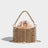 Sparkling Water Diamond Rope Vegetable Basket Bird Cage Banquet Water Bucket Hand Carrying Crossbody Bag - V.I.P Digital Presence
