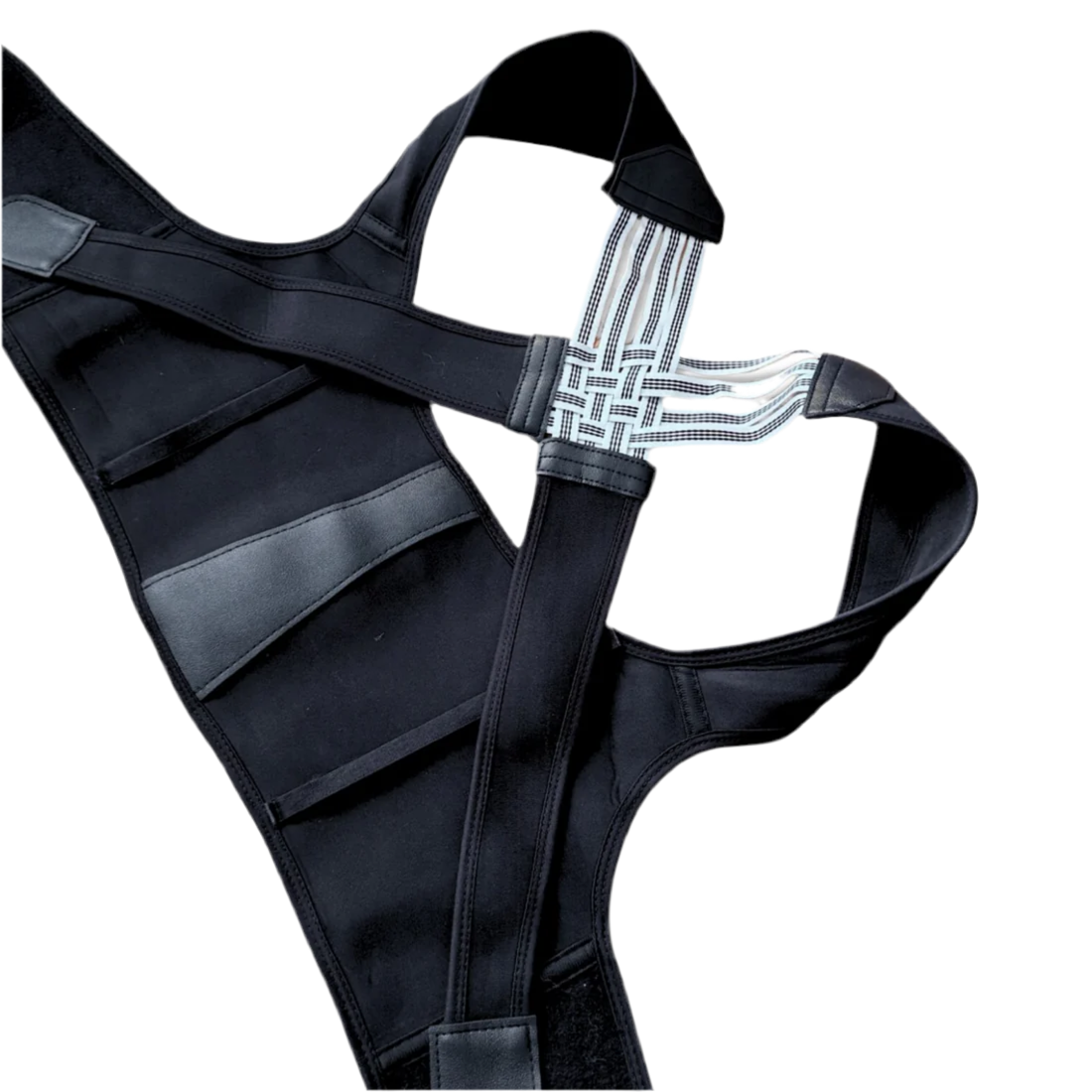 SpineAlign Pro - V.I.P Digital Presence