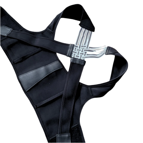 SpineAlign Pro - V.I.P Digital Presence