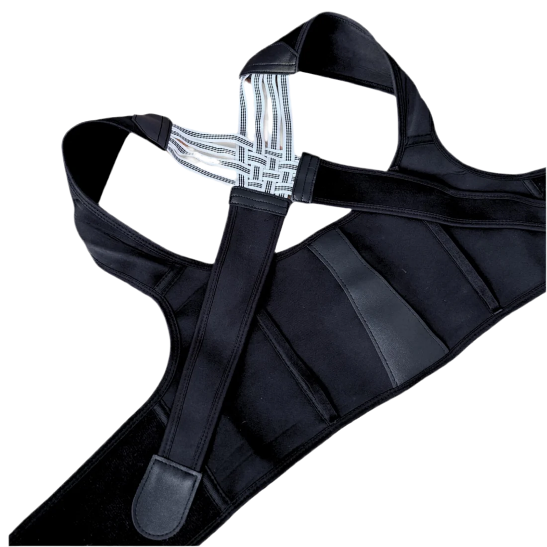 SpineAlign Pro - V.I.P Digital Presence