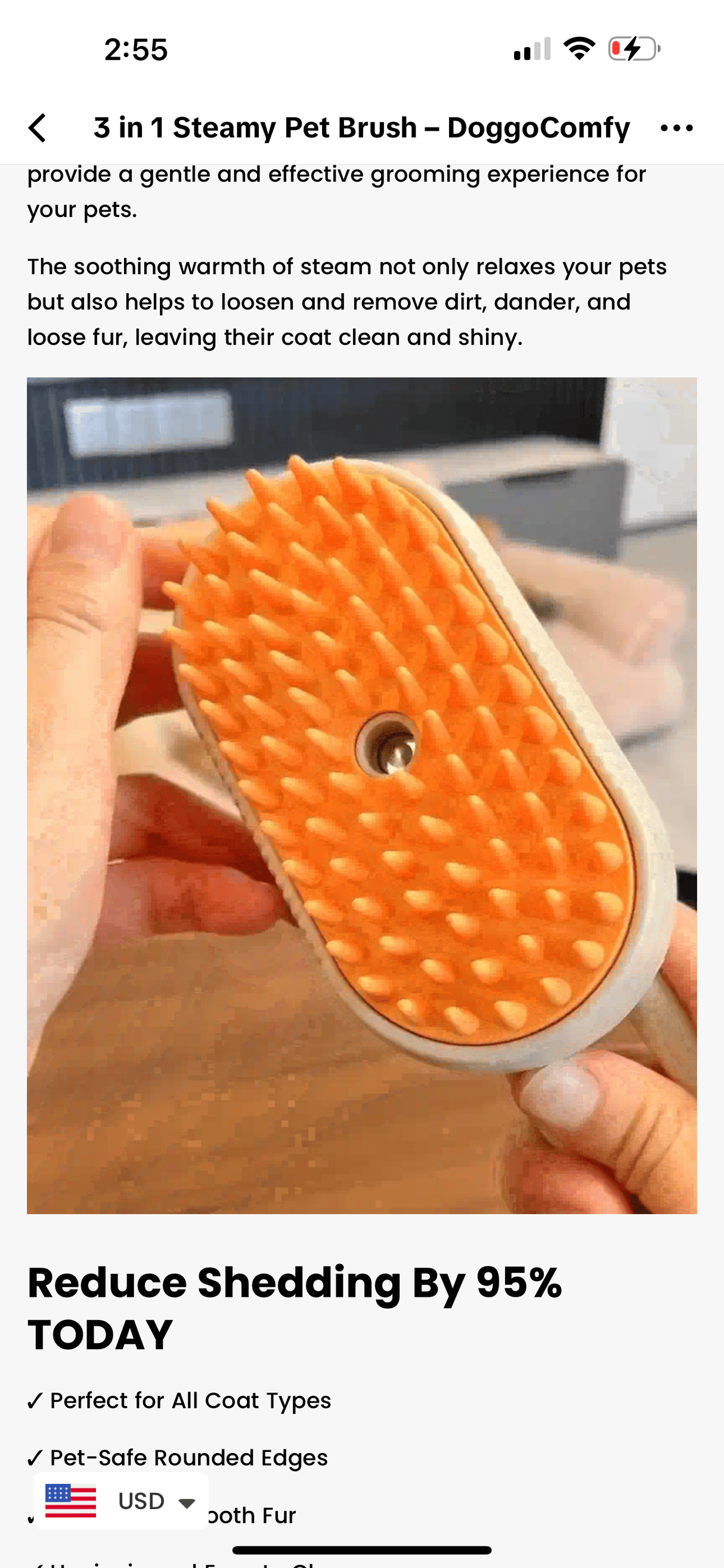 Steamy Hair Brush - V.I.P Digital Presence