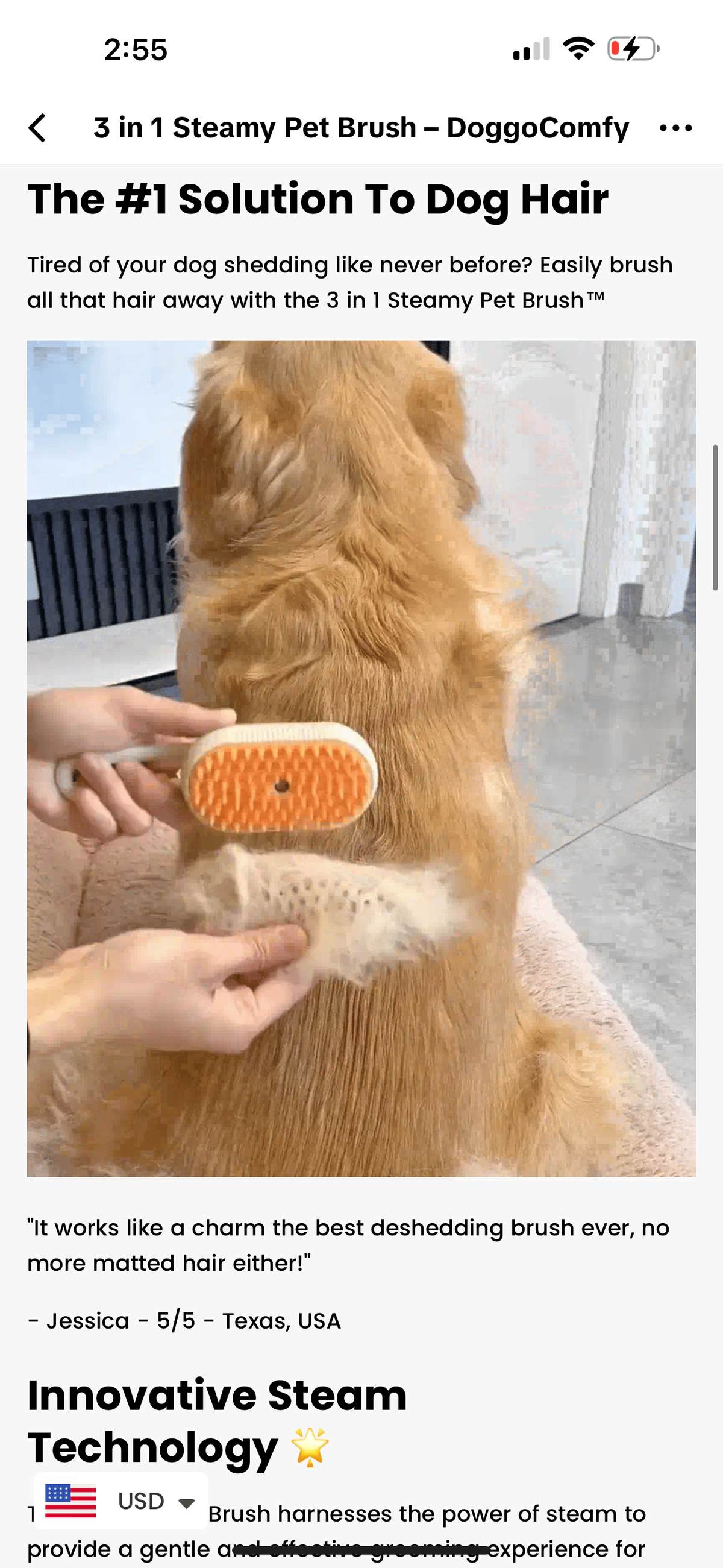 Steamy Hair Brush - V.I.P Digital Presence