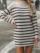 Striped Mock Neck Long Sleeve Mini Dress - V.I.P Digital Presence