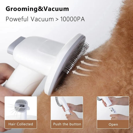 V.I.P PET Grooming Kit - V.I.P Digital Presence