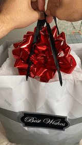 Warm Blanket Hoodie - V.I.P Digital Presence