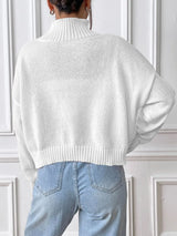 Women's autumn and winter high neck pullover sweater solid color loose casual base sweater - V.I.P Digital Presence