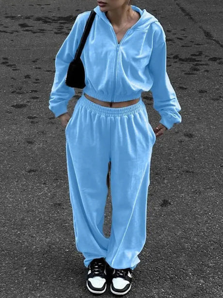 Zip Up Hoodie and Pocketed Pants Set - V.I.P Digital Presence